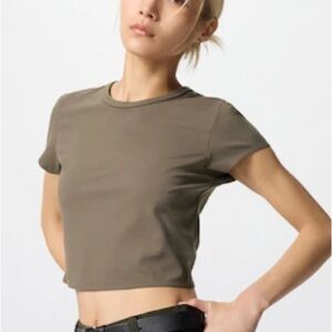 Sunday Best Dark Tan Short Sleeve Shirt Cropped Crewneck Lightweight Stretch Top